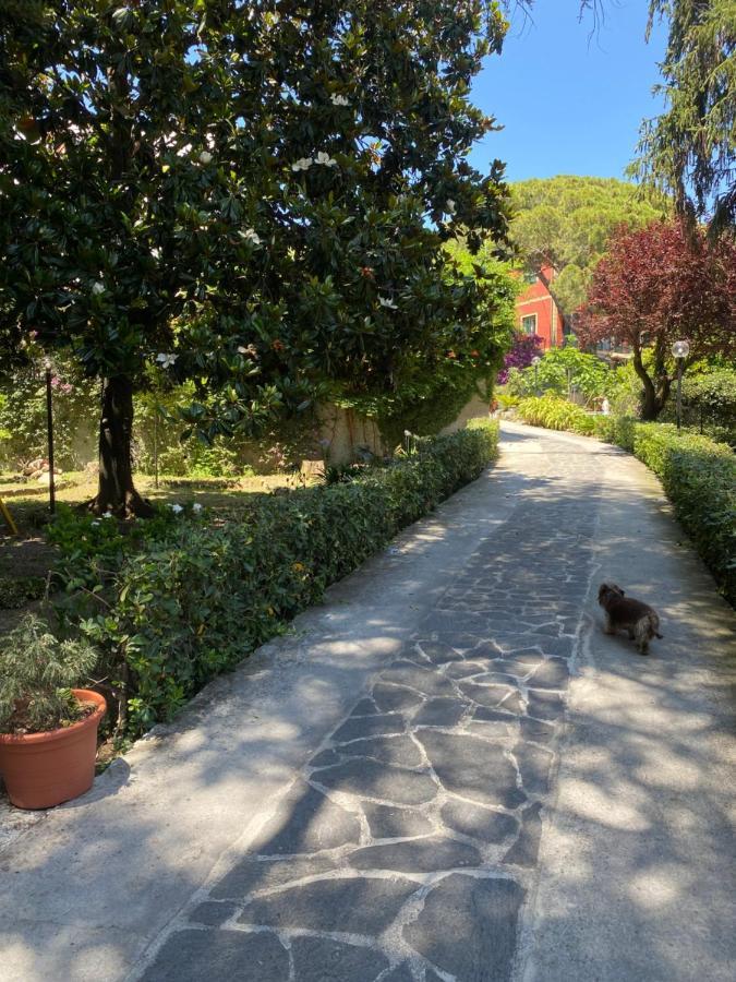 Le Magnolie Bed and Breakfast Santa Margherita Ligure Buitenkant foto